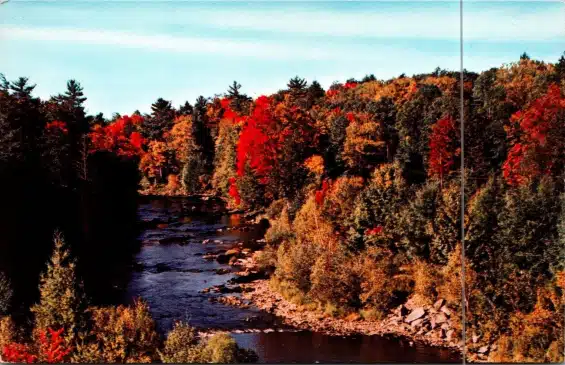 Postcard Autumn View of Tobyhanna Creek Pocono Lake Preserve PA
