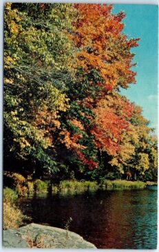 Postcard Autumn View of Tobyhanna Creek Pocono Lake Preserve PA2