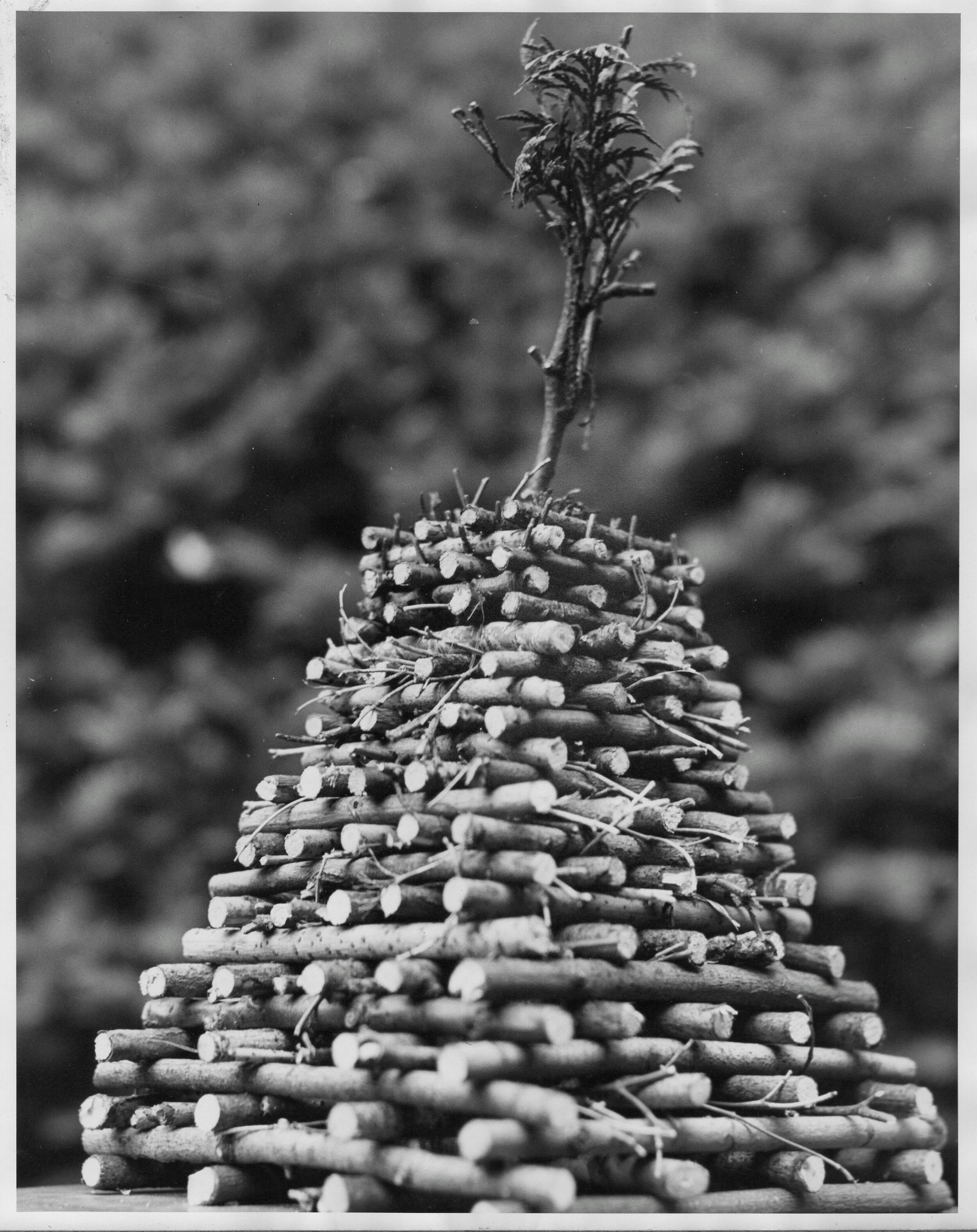 Replica Summit Beacon Summit Historical Society