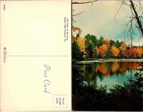 Vintage Postcard Fall Color in the Cove Pocono Lake Preserve PA