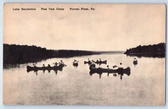 c1940 Pocono Pines Pennsylvania Vintage Postcard Lake Recreation Tree Camp Canoe