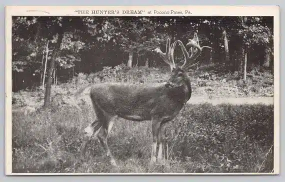 s The Hunters Dream at Pocono Pines Pennsylvania PA Postcard 1