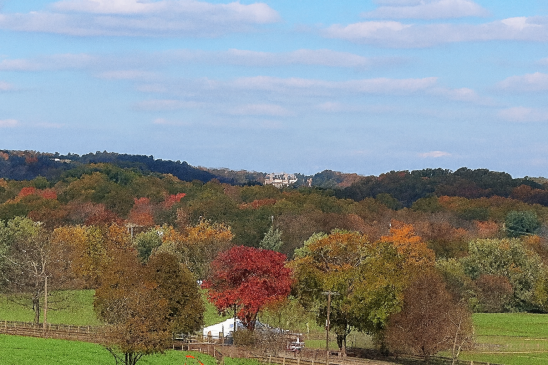 2011 Far Hills Race Hunt aftermath 9 Fall