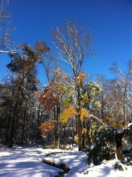 2011 Halloween fall snow 30