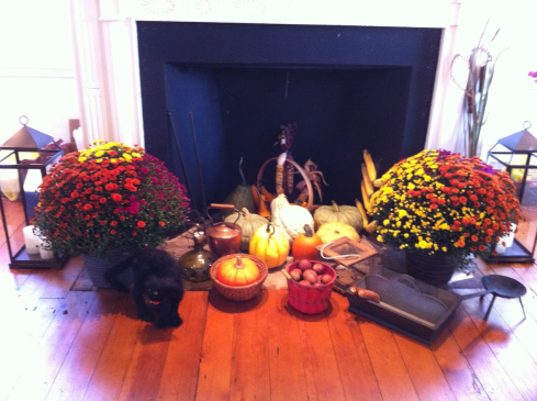 2011 Vanderveer House Fall Image