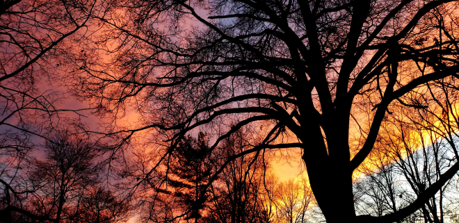 20201214 Fall West Oak Street scaled