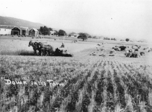 BM 1870 Neville Farm Somerville Road looking north towards Pigtail