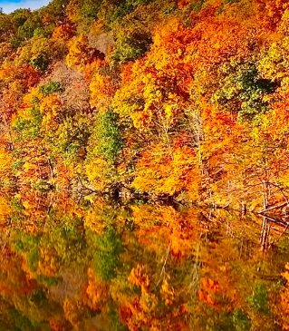 Fall Mr Local History