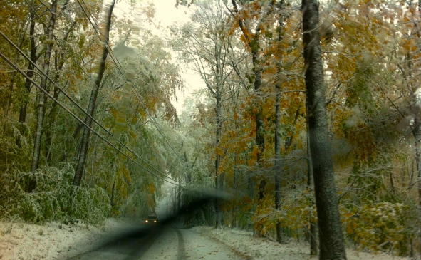 Mr Local History Fall Foliage 2011