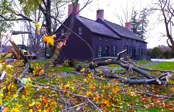 Mr Local History Fall Foliage 2012