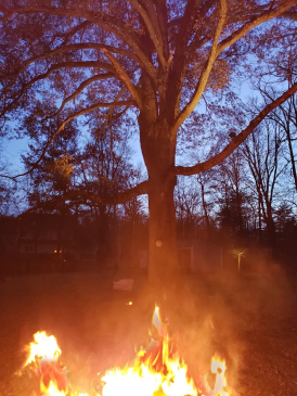 Mr Local History Fall Foliage 2019