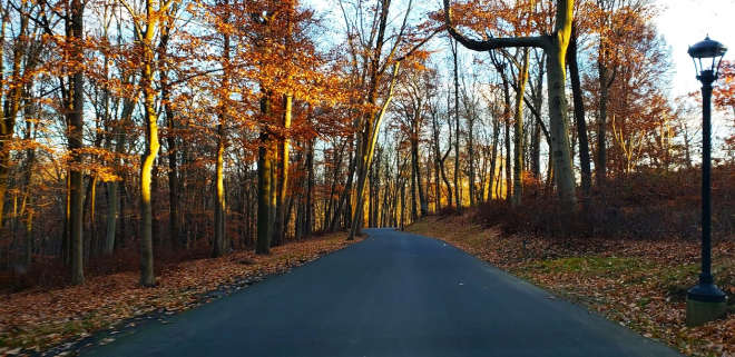 Mr Local History Fall Foliage 2020 Natirar