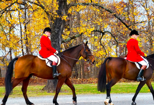 Mr Local History Fall Foliage Bedminster