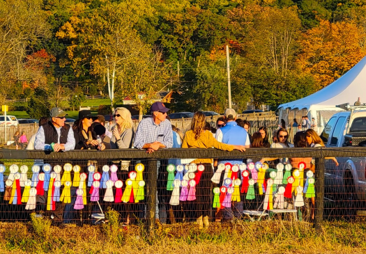Mr Local History Fall Foliage Far Hills