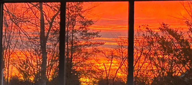 Mr Local History Fall Foliage Morning