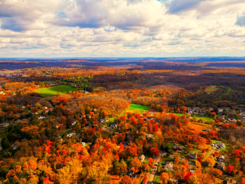Mr Local History Fall Foliage3