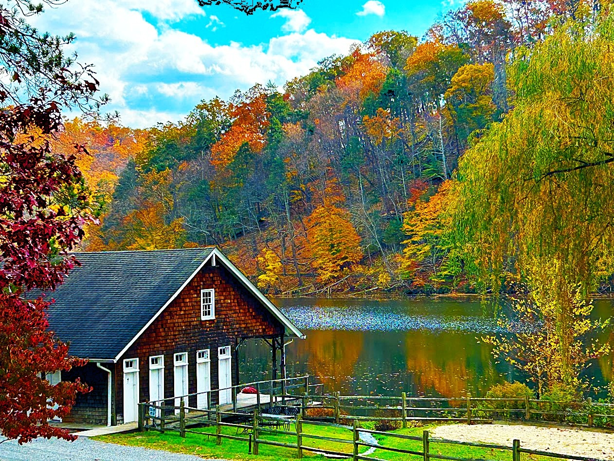 Mr Local History Fall Foliage5 Ravine Lake 1