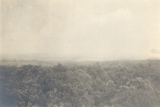 View from Schley tower c1917