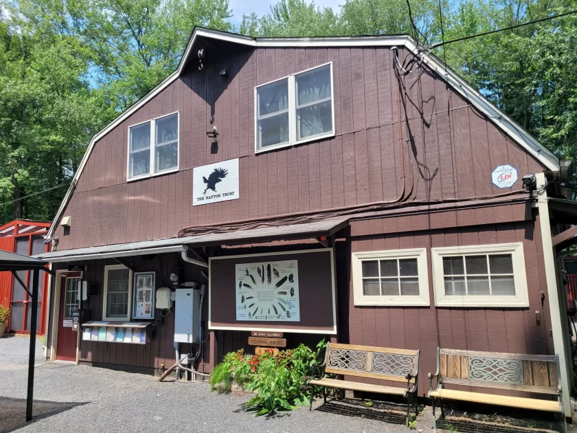 Raptor Trust Basking Ridge