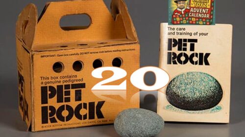 Mr Local History Advent Vintage Toys 20 The Pet Rock