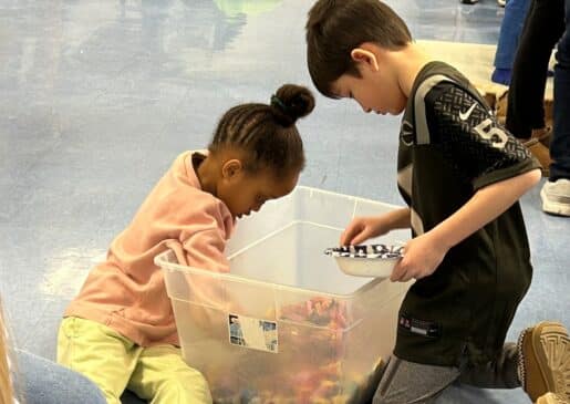 11 Westfield Lego Mr Local History