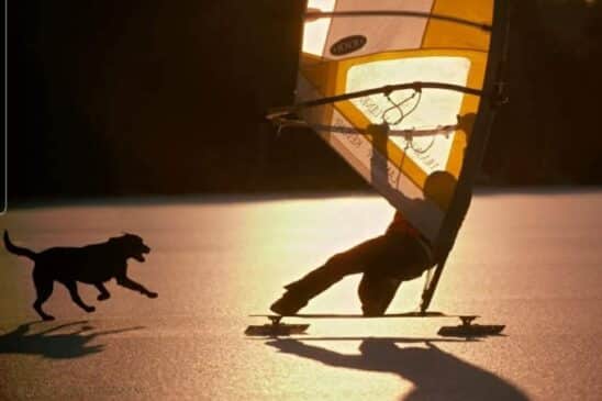 Freeskating MA - Henry Spencer and his dog Kodak. Source: Jeff Brown