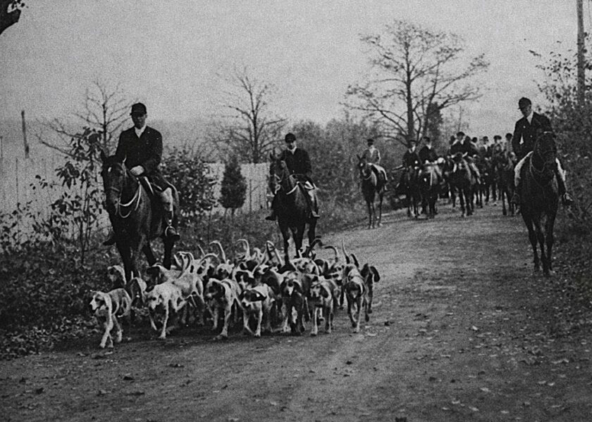 Essex Fox Hounds c1914 The Essex Fox Hounds, A. Fillmore Hyde, Esq., Master