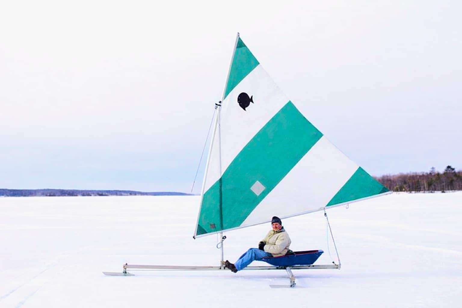 icefish