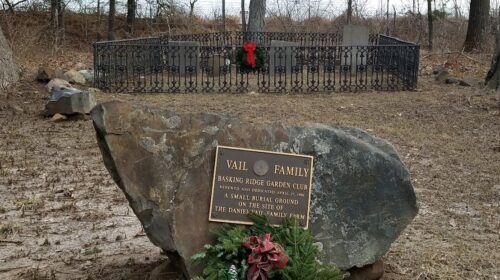 Cemetery Stonehouse Road Daniel Veil