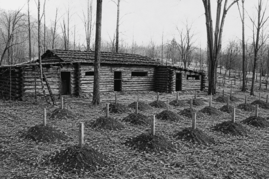 The Missing Cemetery of the Basking Ridge Continental Army Hospital
