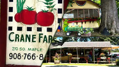 Crane Farm: The Little Farm Stand Preserves Basking Ridge’s Farming Past