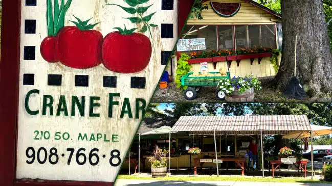 Crane Farm: The Little Farm Stand Preserves Basking Ridge’s Farming Past