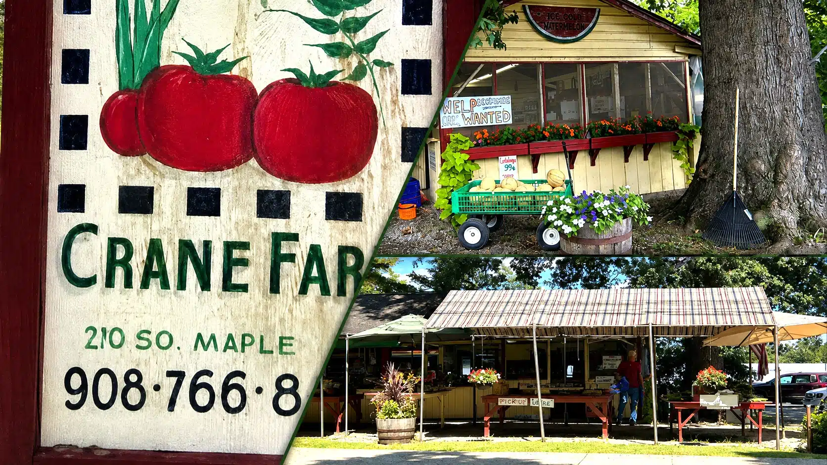 Crane Farm: The Little Farm Stand Preserves Basking Ridge's Farming Past